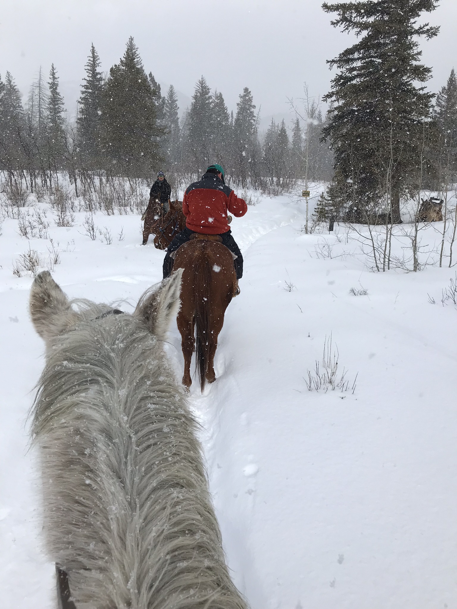 2A4B8075-438F-4CD3-9CBC-B7260C551427